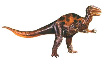 Allosaurus