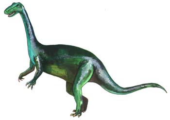 Anchisaurus