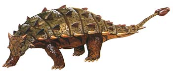 Ankylosaurus