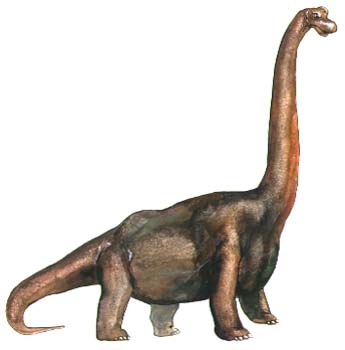 Brachiosaurus