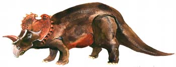 Centrosaurus