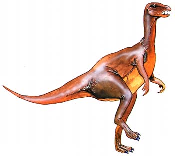 Heterodontosaurus