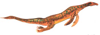 Lariosaurus