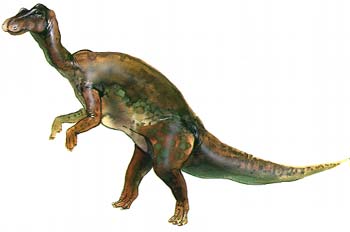 Maiasaurus