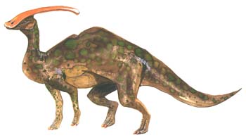 Parasaurolophus