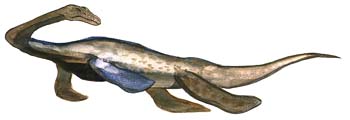 Pistosaurus