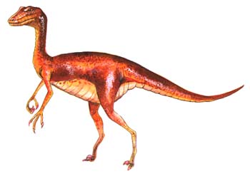 Stenoychosaurus