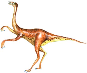 Struthiomimus