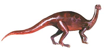 Thecodontosaurus